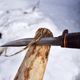 Illustration for article titled made a walking stick